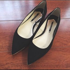 Brand New Zara pointed flats